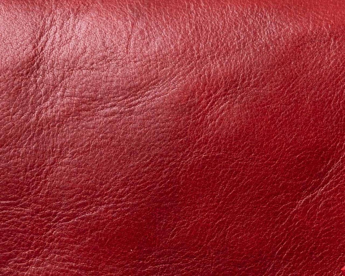 Primrose - Red - Pampora Leather