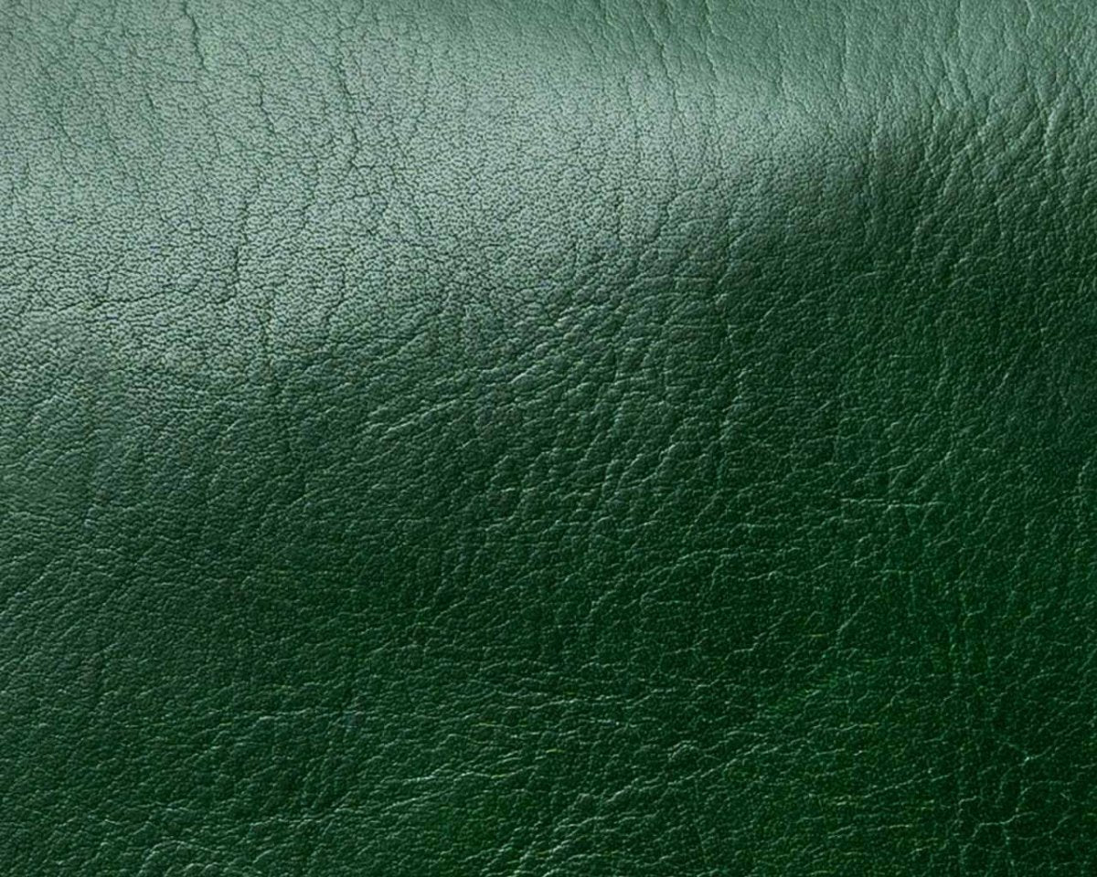 On A Mission - Green - Pampora Leather